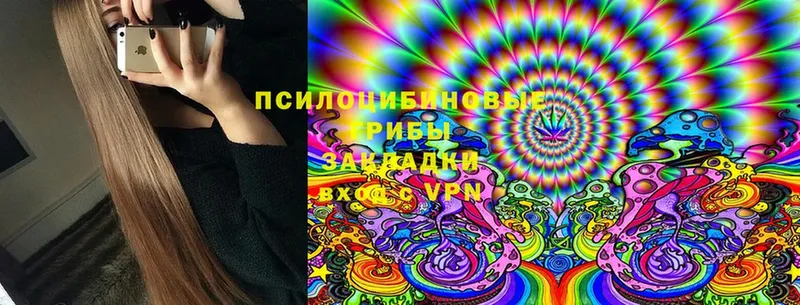 площадка как зайти  купить наркоту  Заринск  Псилоцибиновые грибы MAGIC MUSHROOMS 